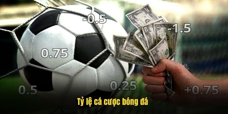 tỷ lệ cá cược bóng đá